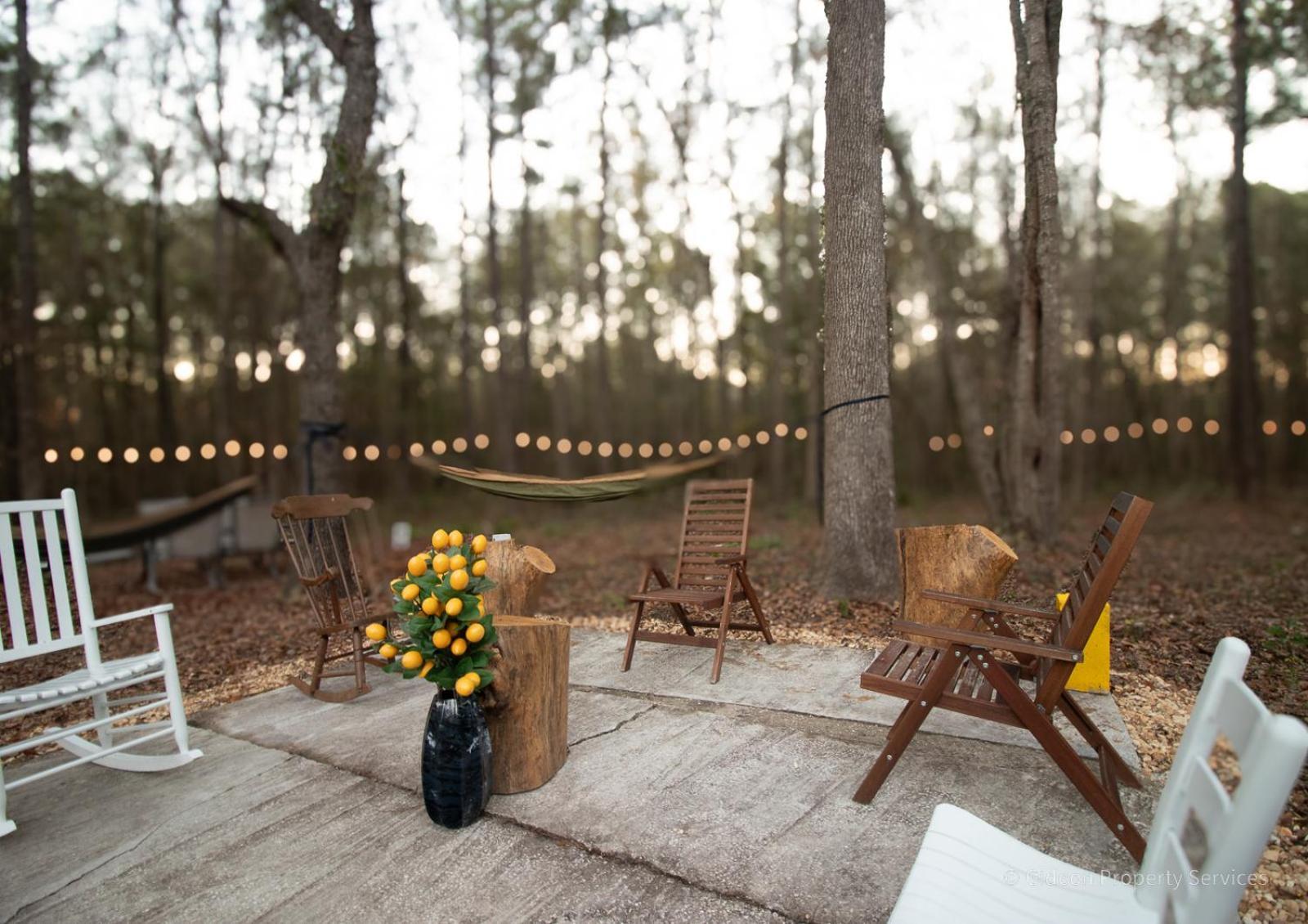 3/2 Uf Wooded Paradise Retreat Gainesville Exteriér fotografie