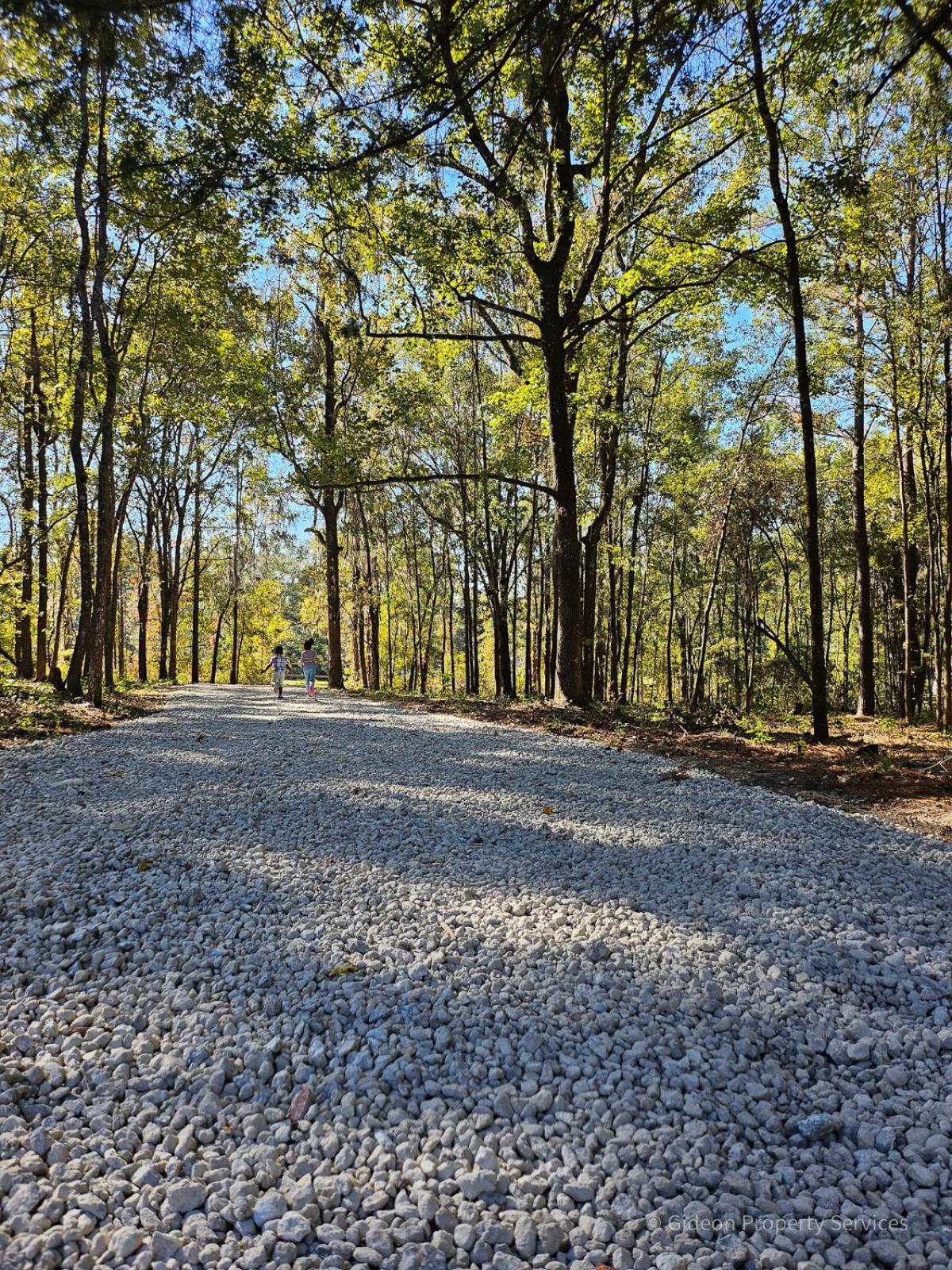 3/2 Uf Wooded Paradise Retreat Gainesville Exteriér fotografie